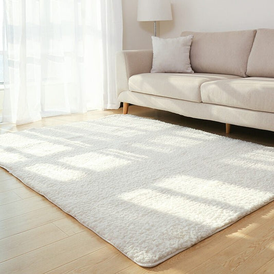 Living Room Soft Carpet