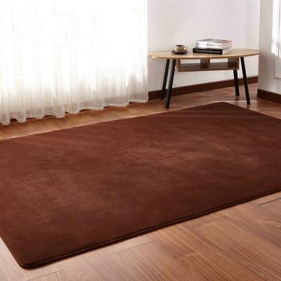 Living Room Soft Carpet